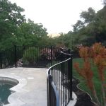 Curved Iron Pool Fence